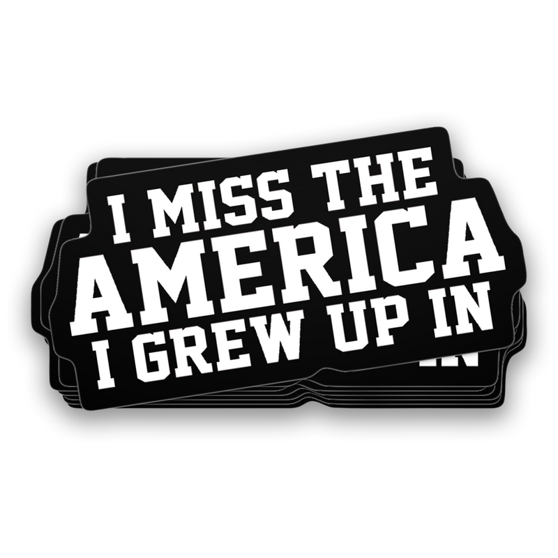 I Miss The America I Grew Up In Decal